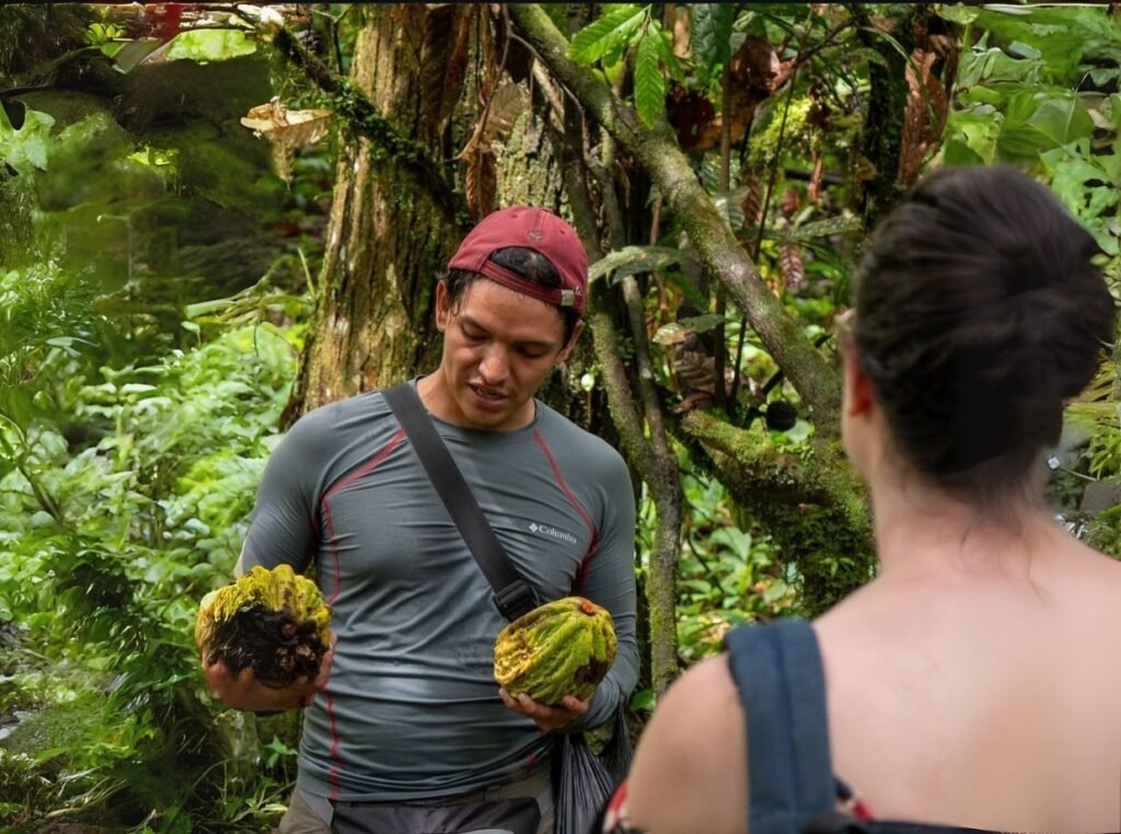 nosotros visión urku muyu